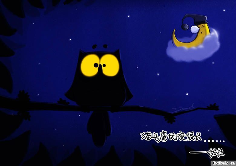    猫头鹰的夜很长!